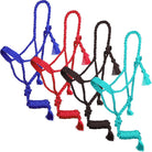Showman Halters Cob/Full / Assorted Colours Showman Halter & Lead Set Mule Tape