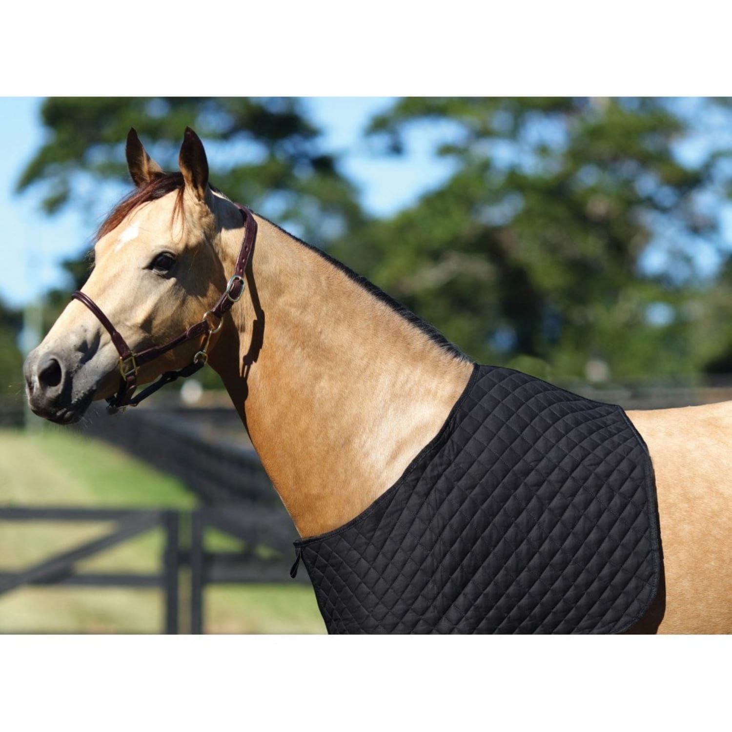 Showmaster Horse Rug Accessories Cob Showmaster Quilted Bib