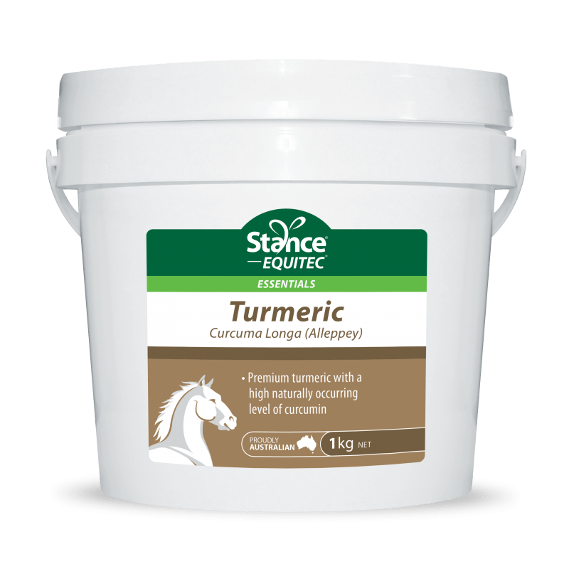 Stance Vet & Feed 1kg Stance Tumeric - Curcuma Longa