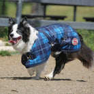 Thermo Master Dog Rugs 12in/31cm / Blue Tartan Thermo Master Supreme Dog Rug