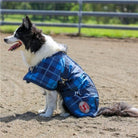 Thermo Master Dog Rugs Thermo Master Supreme Dog Rug