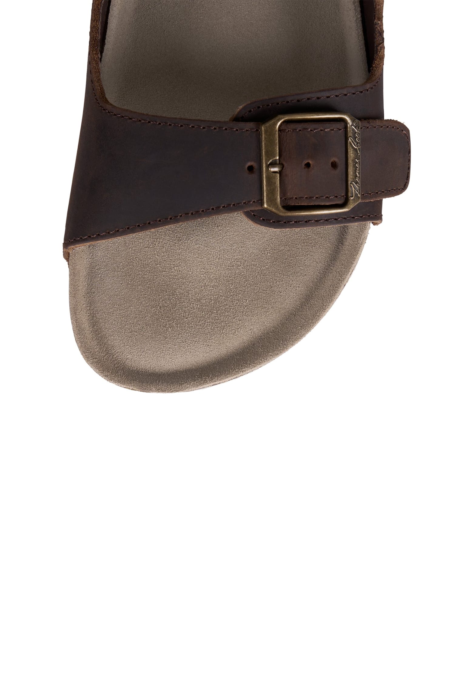 Thomas Cook Mens Boots - Shoes Thomas Cook Shoes Mens Ellis Buckle Sandal