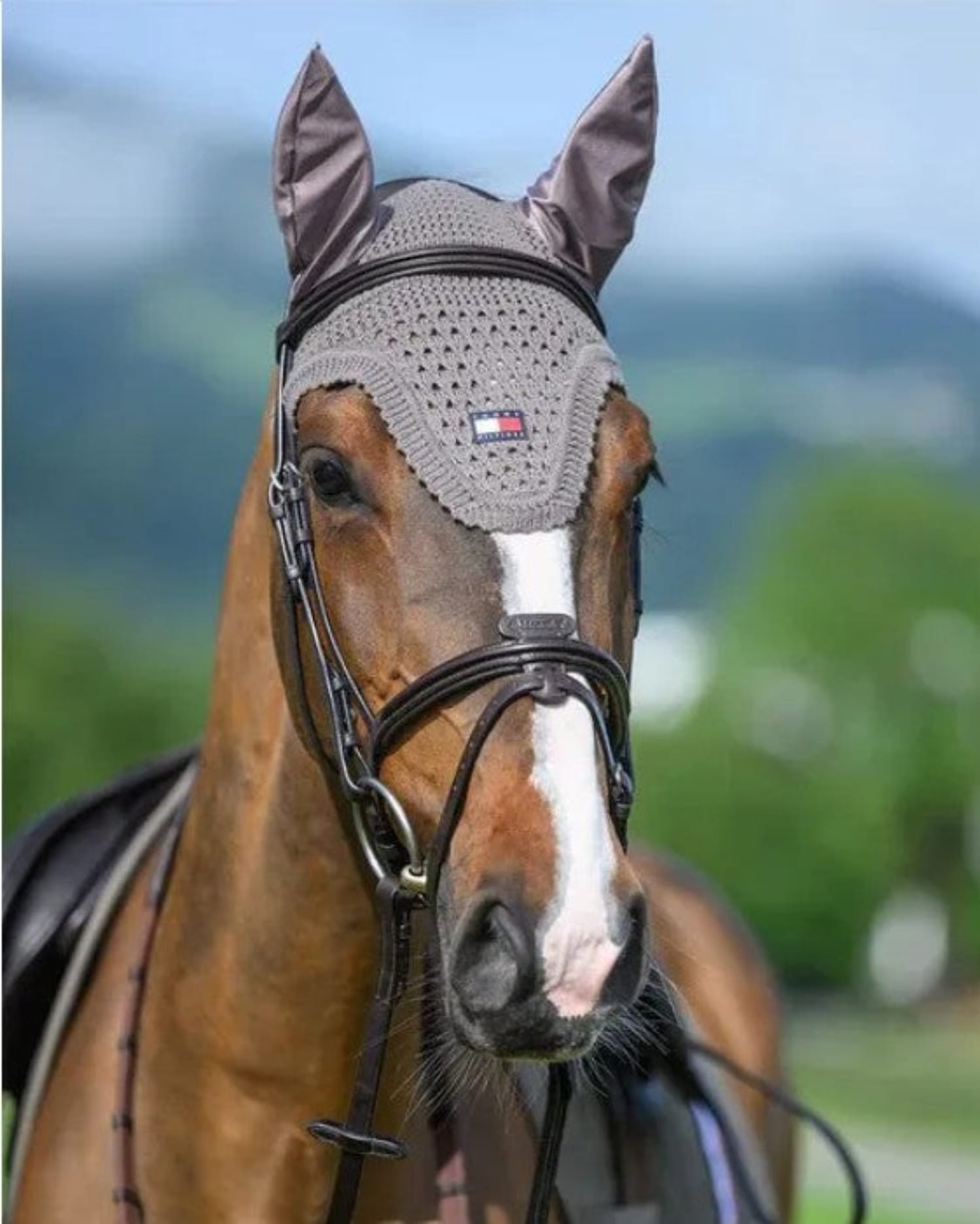 Tommy Hilfiger Fly Masks - Bonnets Full / Ash Tommy Hilfiger Ear Bonnet Lexington