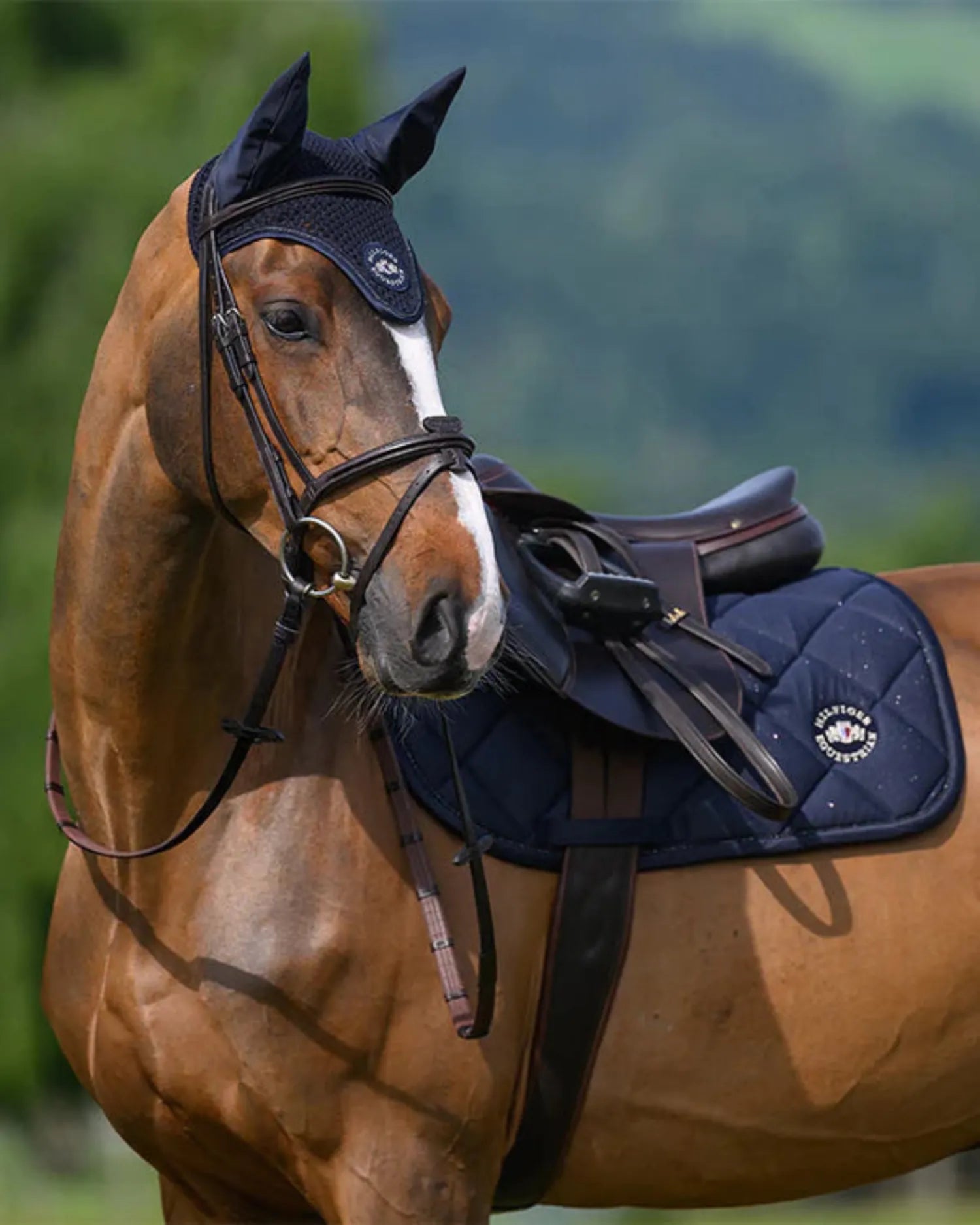 Tommy Hilfiger Saddle Pads English Full / Desert Sky Tommy Hilfiger Saddle Pad Emory Jump