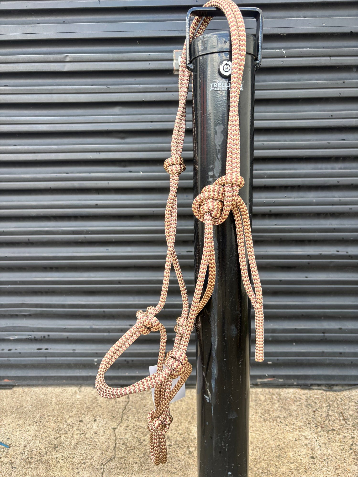 Toowoomba Saddlery Halters Cob / Beige/Brown Toowoomba Saddlery Pro Series Rope Halter