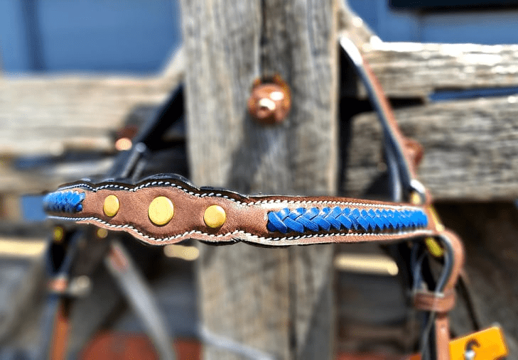 Top Rail Equine Bridles Top Rail Equine Leather Show Bridle with Blue Plait Browband & 3 Studs