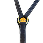 Toprail Equine Breastplates - Martingales Cob / Havana Brown Toprail Equine Breastplate Show with Brass Plaque & Royal Blue Plait