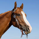 Toprail Equine Bridles Cob/Full Toprail Equine Bridle One Ear Lainey Cowhide