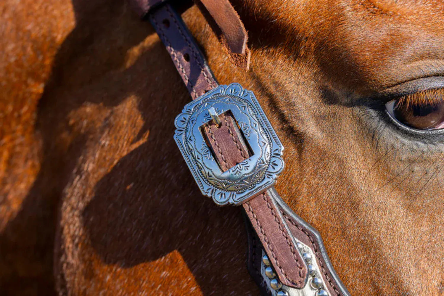 Toprail Equine Bridles Cob/Full Toprail Equine Bridle One Ear Lainey Cowhide