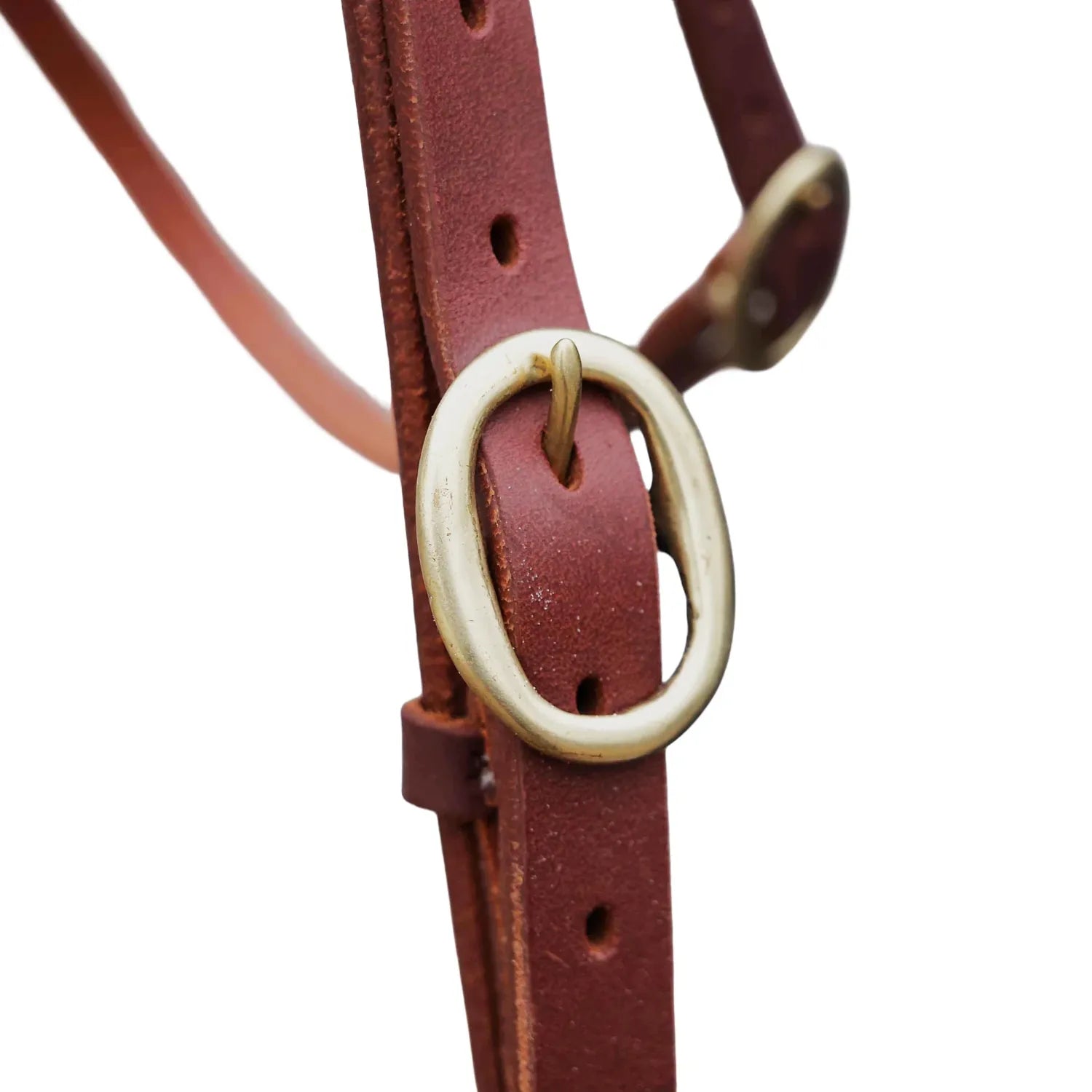 Toprail Equine Bridles Cob/Full Toprail Equine Bridle Roxby
