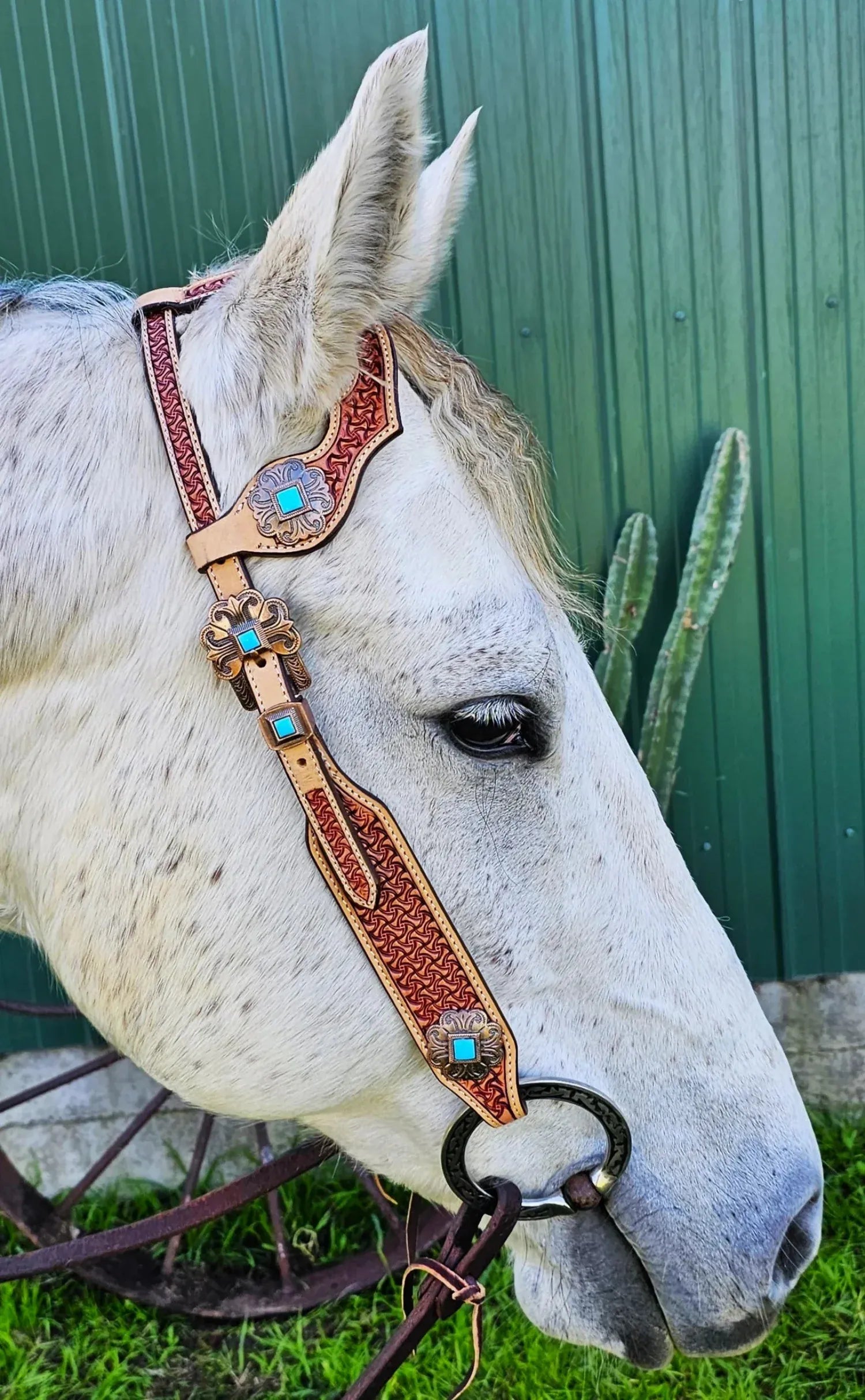 Toprail Equine Bridles Cob/Full Toprail Equine Bridle The Sundance One Ear