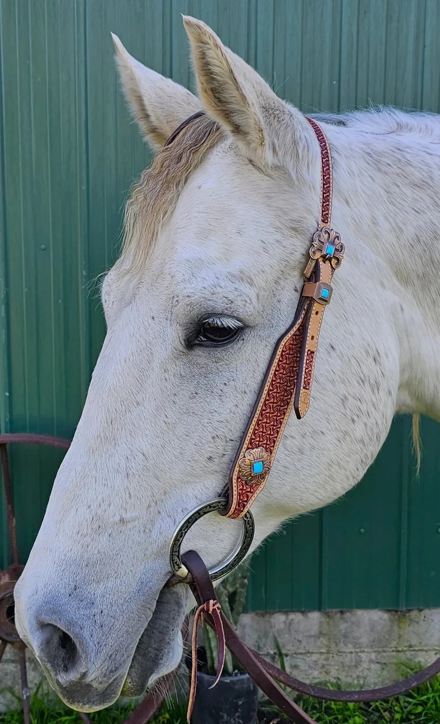 Toprail Equine Bridles Cob/Full Toprail Equine Bridle The Sundance One Ear