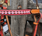 Toprail Equine Bridles Toprail Equine Bridle Barbie