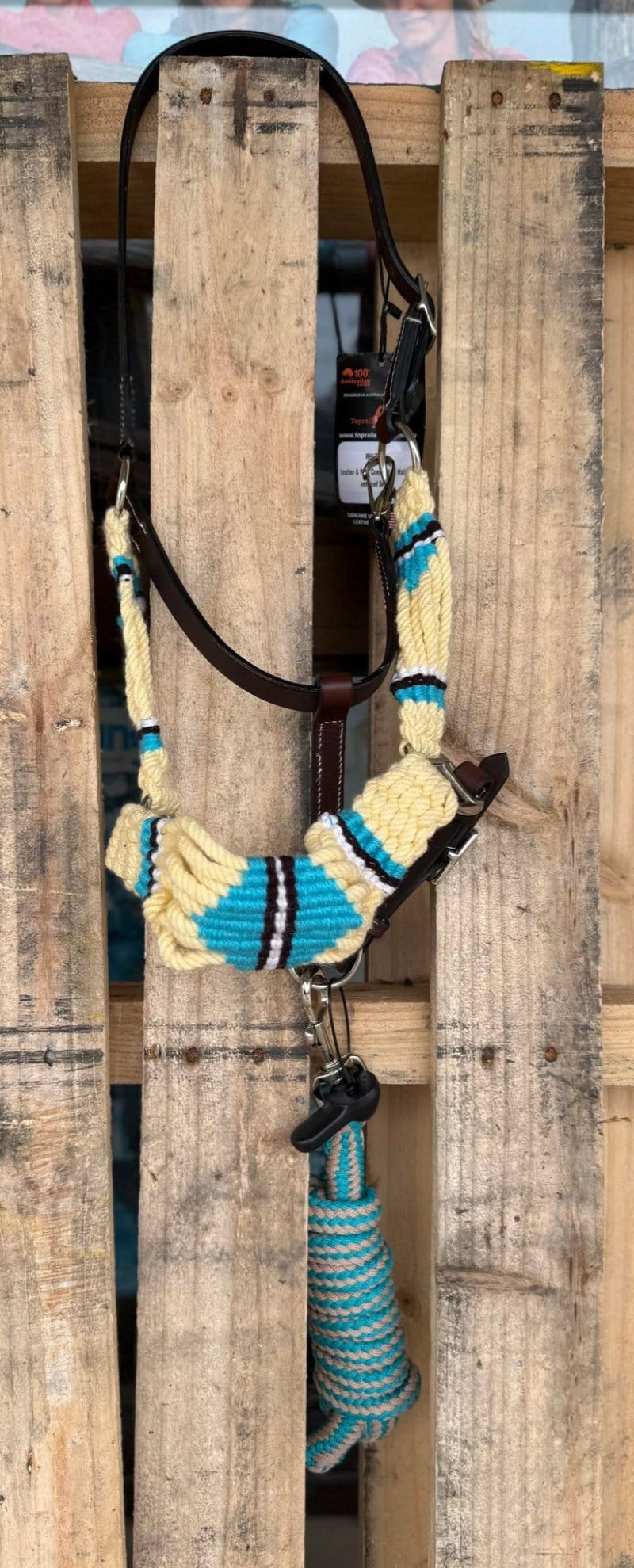 Toprail Equine Halters Cob/Full / Beige/Turquoise Toprail Equine Halter and Lead Set Woollen Cord/Leather