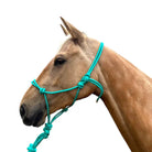 Toprail Equine Halters Turquoise Toprail Equine Halter & Lead Set Knotted