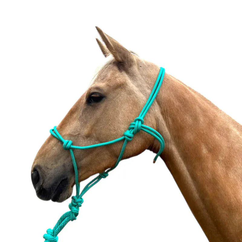 Toprail Equine Halters Turquoise Toprail Equine Halter & Lead Set Knotted
