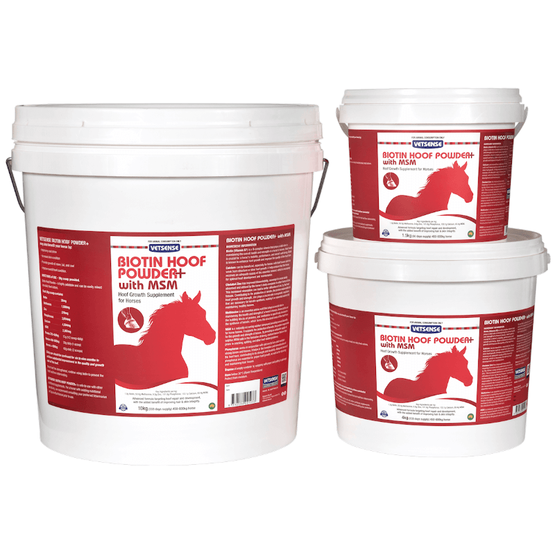 Vetsense Vet & Feed Vetsense Biotin Hoof Powder