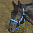 Waldhausen Halters Pony / Azure Waldhausen Halter