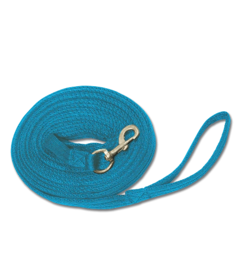 Waldhausen Training Equipment Blue Waldhausen Lunge Lead