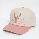 Wild Lace Caps Pink Wild Lace Cap Rosie Rancher