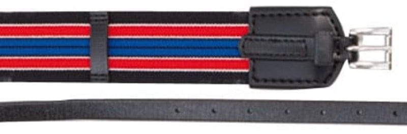 Zilco Breastplates & Martingales ONE SIZE Zilco Elastic Surcingle 50mm Red/Blue