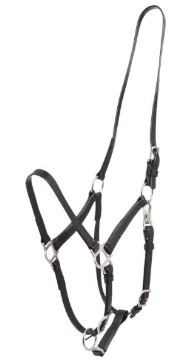 Zilco Bridles Arab / Black Zilco Endurance Halter Part Deluxe