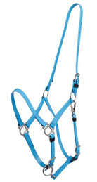 Zilco Bridles Arab / Cyan Blue Zilco Endurance Halter Part Deluxe