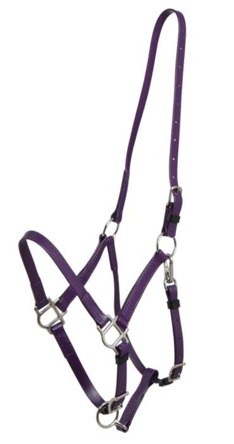 Zilco Bridles Arab / Purple Zilco Endurance Halter Part Deluxe