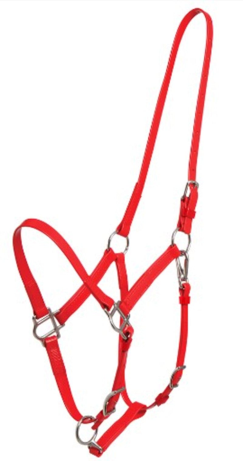 Zilco Bridles Arab / Red Zilco Halter Part Deluxe Endurance (269101GROUP-269127GROUP)