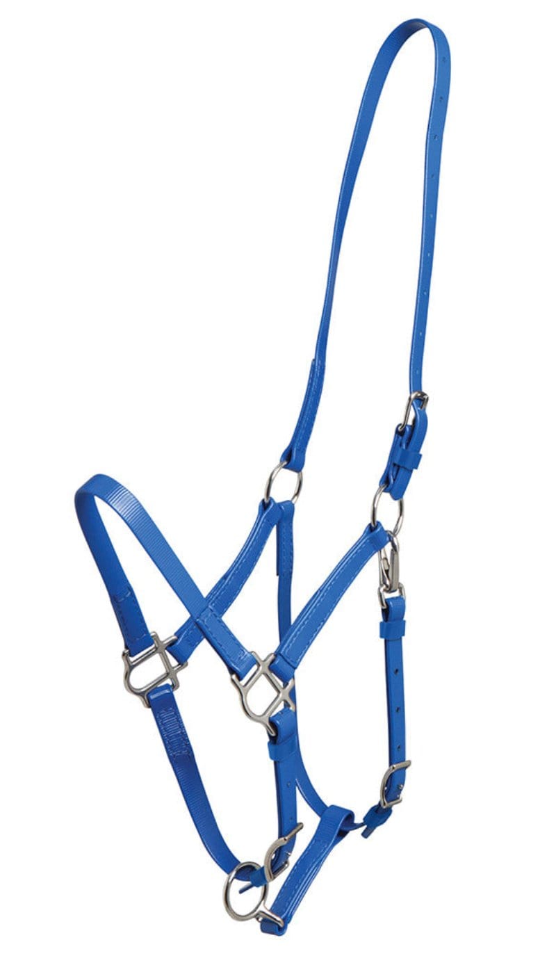 Zilco Bridles Arab / Royal Zilco Endurance Halter Part Deluxe