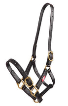 Zilco Halters Cob / Black Zilco Synthetic PN Halter