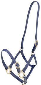 Zilco Halters Cob / Blue Zilco 19mm PN Halter