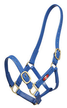 Zilco Halters Cob / Blue Zilco Synthetic PN Halter