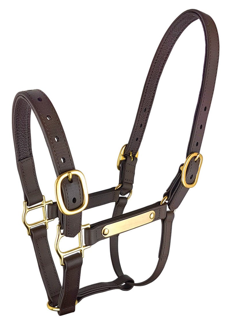 Zilco Halters Cob / Brown Zilco Halter Epsom