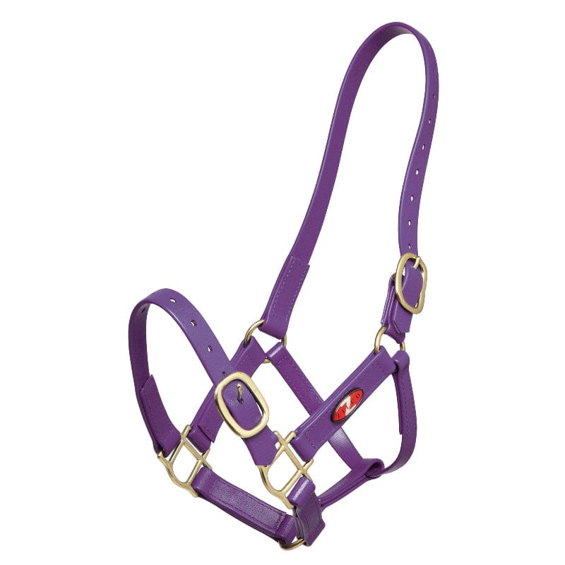 Zilco Halters Cob / Purple Zilco Synthetic PN Halter