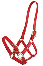 Zilco Halters Cob / Red Zilco Synthetic PN Halter