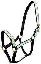 Zilco Halters Pony / Green/Black Zilco Halter Overlay