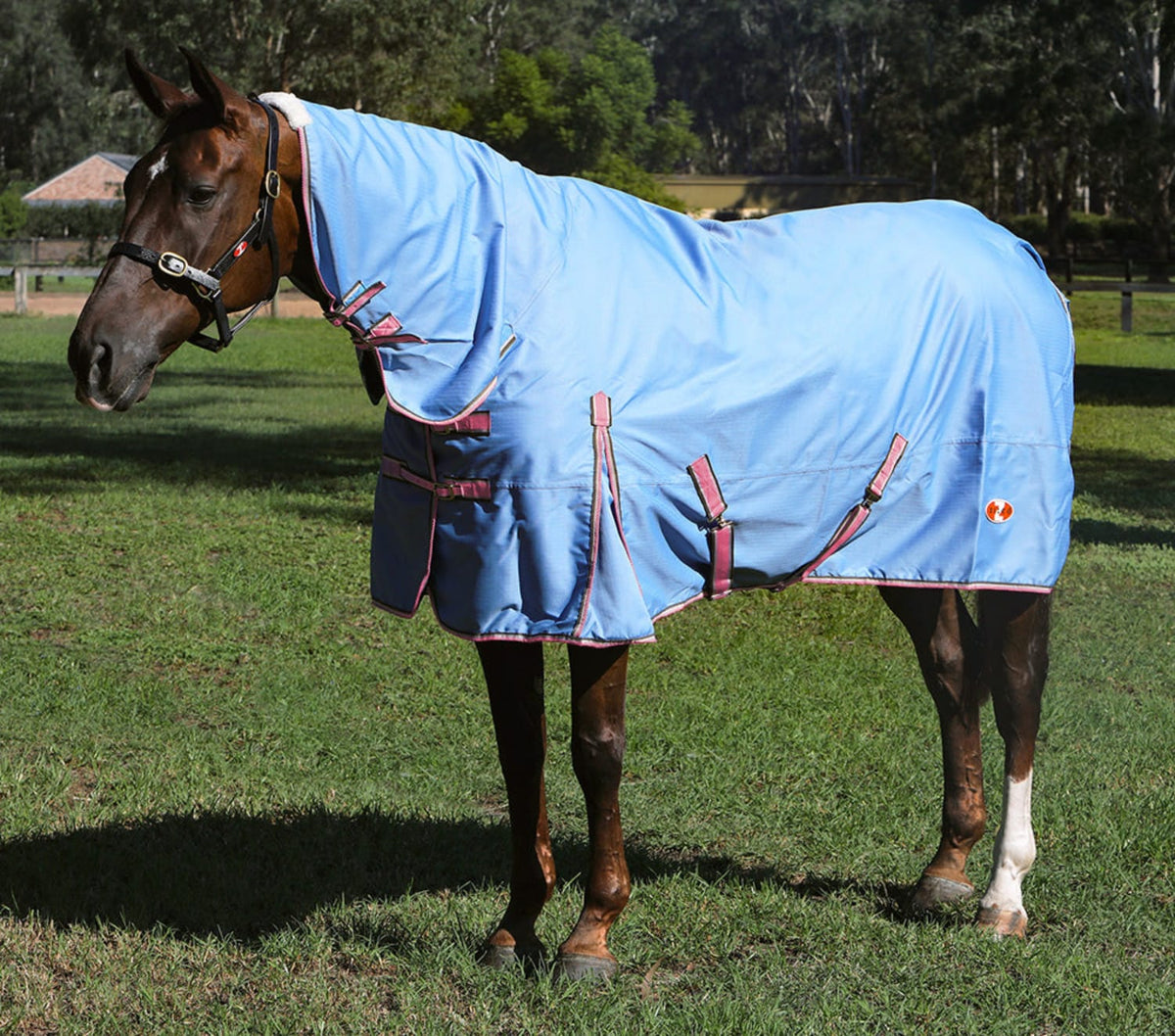 Zilco Winter Horse Rugs 4ft0 / Pale Blue Zilco Combo Guardian Rainsheet 600D