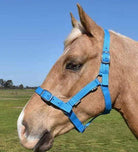 Academy Halters Academy Halter