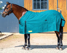 Academy Winter Horse Rugs 4ft0 Academy Canvas Rug