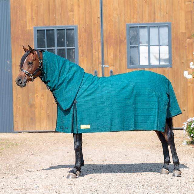 Academy Winter Horse Rugs 4ft3 Academy Canvas Combo