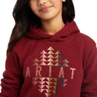 Ariat Kids Jumpers, Jackets & Vests Ariat Hoodie Girls Beartooth (10041654)