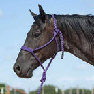 Cashel Halters Purple Cashel Braided Mule Halter