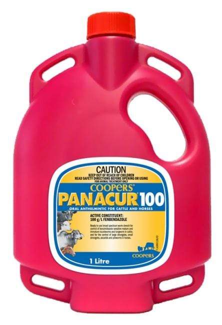 Panacur 100 for Horses & Cattle - Gympie Saddleworld & Country Clothing