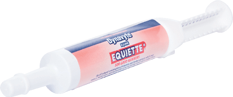 Dynavyte Equine Equiette Paste - Gympie Saddleworld & Country Clothing