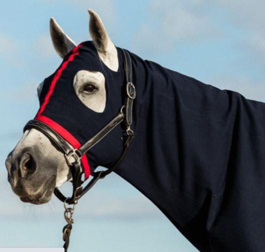 Earlwood Horse Rug Accessories Pony / Navy/Red Earlwood Pull On Hood
