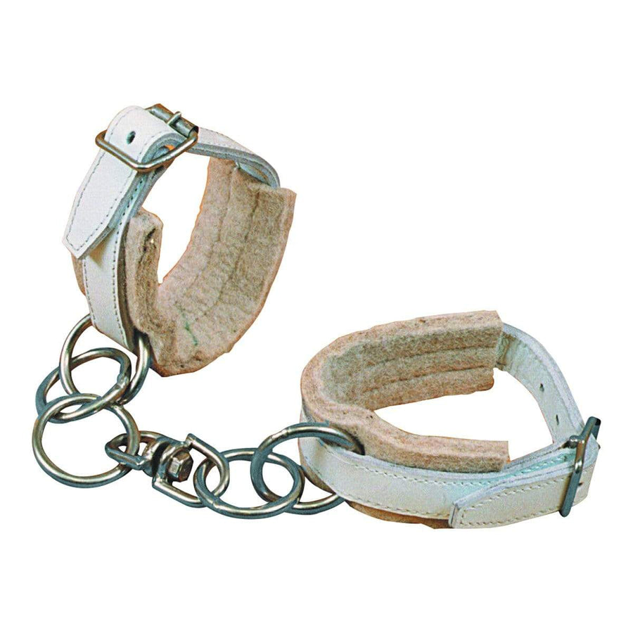 Eureka Training Equipment Eureka Chrome Leather Hobbles with Chains