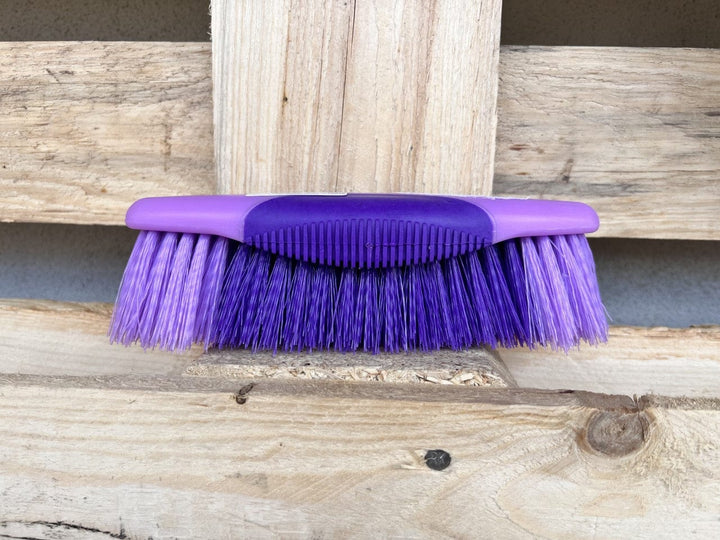 Eurohunter Brushes & Combs Purple Dandy Brush Eurohunter (EH72G31)