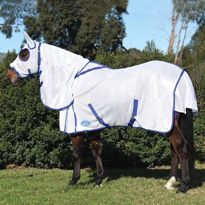 Eurohunter Summer Horse Rugs 4ft0 Eurohunter Cool Protect Mesh Combo with Hood & Ears (EHPROTC)