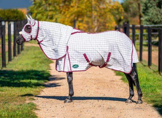 Eurohunter Summer Horse Rugs 4ft3 Eurohunter Light Protect Combo (EHLTP)